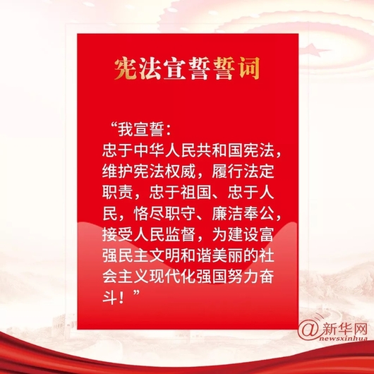 最新宪法宣誓誓词全文揭晓，庄严承诺，共创未来！