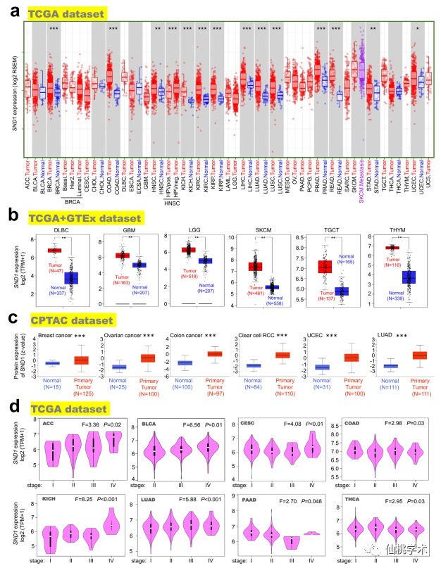 7777788888澳门王中王2024年,数据化决策分析_TAS83.331车载版