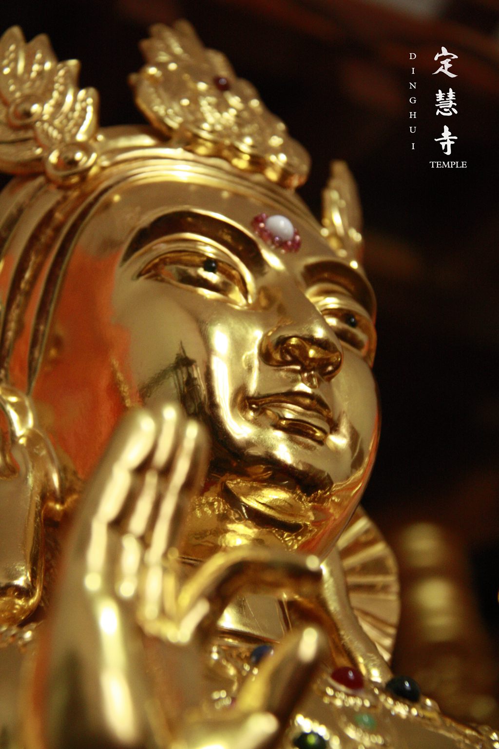 99434金光佛,效率评估方案_RSG9.690电影版