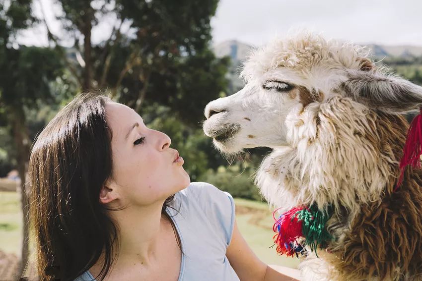 物业管理 第468页