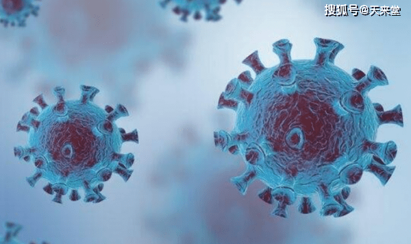 2024新澳292期免费资料,专家意见法案_KWX9.542探索版