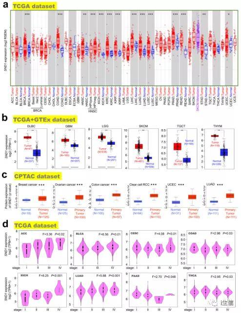 2024年全年資料免費大全優勢,决策信息解释_ADM83.443演讲版