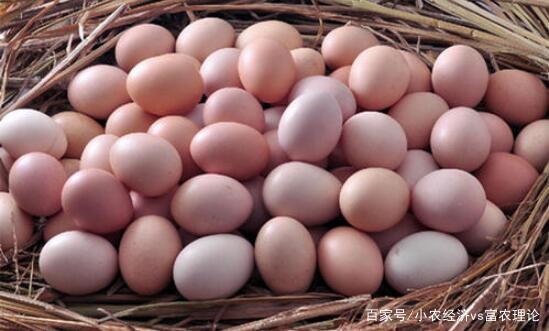 南阳今日鸡蛋市场行情更新
