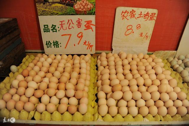 南阳今日鸡蛋市场行情更新
