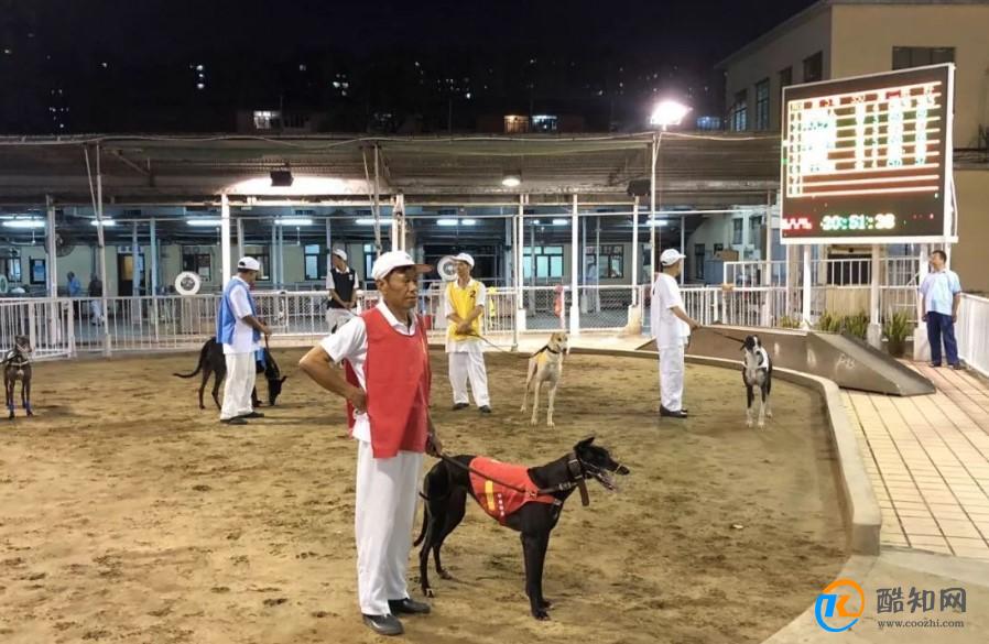 香港正版免费资料跑狗图,最新碎析解释说法_WPG83.961媒体版