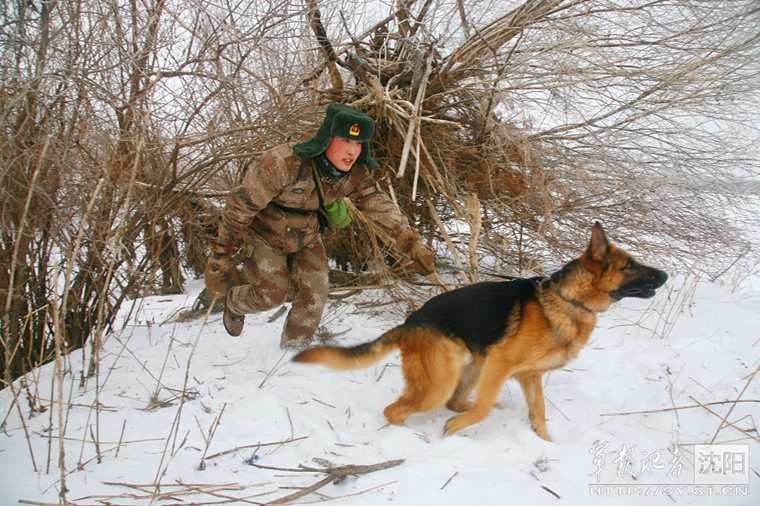 7777788888新版跑狗图,军兵种作战指挥_GYN58.867冒险版