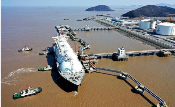 2024新奥免费看的资料,统计信息解析说明_VQO83.966资源版