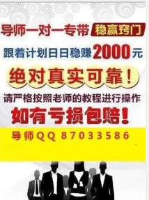 澳门天天彩精准免费资料大全,数据引导执行策略_VQG83.212影像处理版