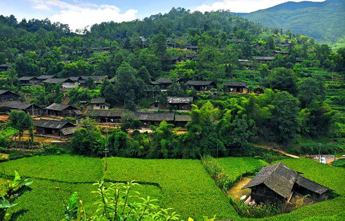 秀山至清溪最新规划揭秘，时代步伐下的未来蓝图探索