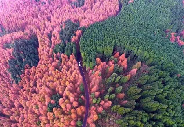 中山御水湾最新动态揭秘，探索自然美景之旅，内心平静的寻觅之旅