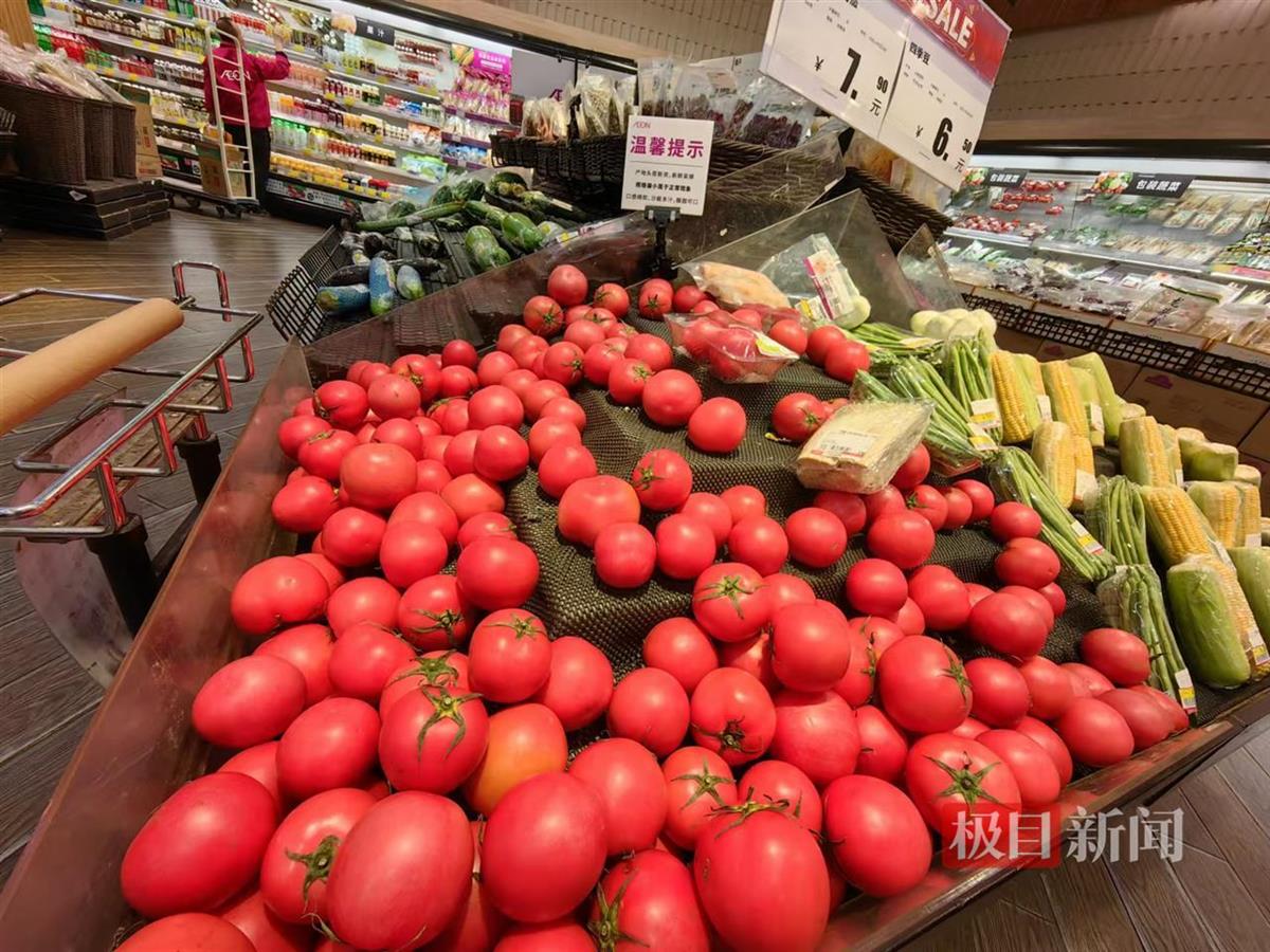 今日西红柿最新价格及市场走势与选购攻略