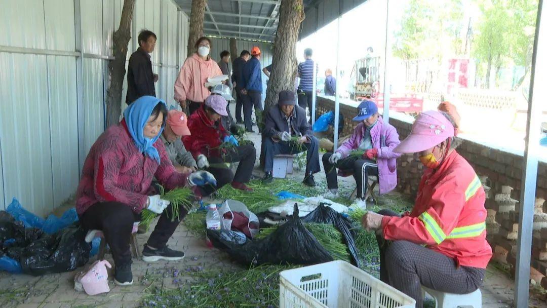 右玉最新地图，科技驱动探索，未来无限可能