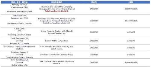 国际钴价最新动态，背景、领域地位与影响全解析