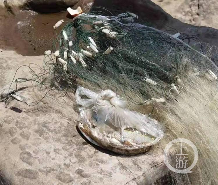 最新捕鱼游戏手机版,一网打尽,尽享捕鱼盛宴