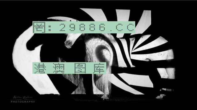 平特一肖100%最准一肖免费公开,具象化表达解说_国际版48.101