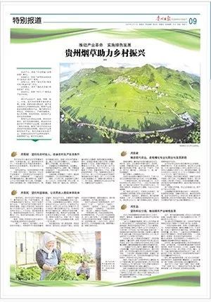 云南七草事件深度解析与关注，最新进展及关注焦点