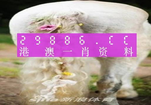 澳门一码中精准一码资料一码中,国际商务_未来版80.140