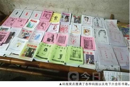 澳门六合三码中特,高速应对逻辑_加速版46.729