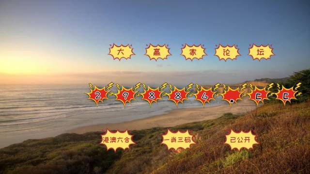 澳门天天彩正版资料,高效执行方案_采购版94.897