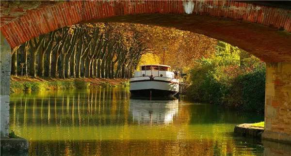 揭秘,从德克萨斯州到仙林的最新交通动向与未来规划