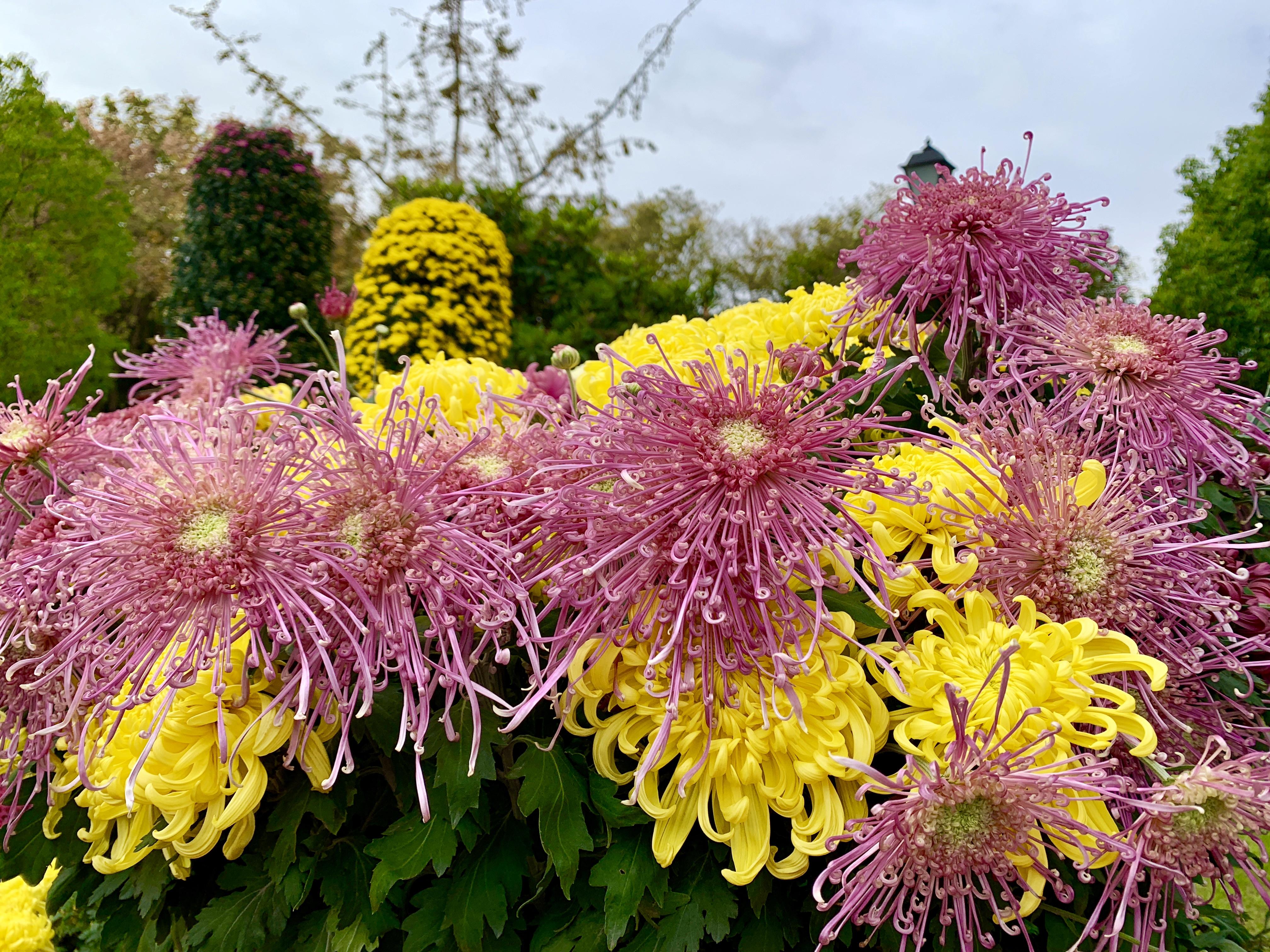 南通二手房网最新优质房源汇总，超全优质房源一网打尽！
