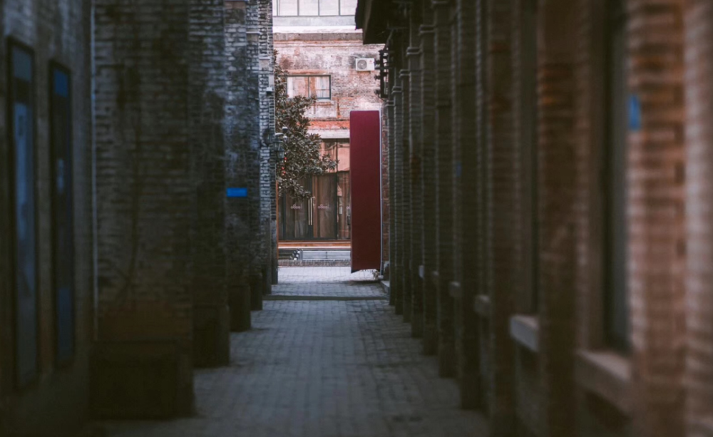 旅行者二号最新动态与巷弄深处的独特小店探秘揭秘