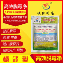 2024管家婆一肖一特,高效性设计规划_经济版82.563