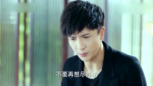 冰山女总裁老婆，最新章节阅读