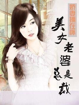 冰山女总裁老婆,最新章节阅读