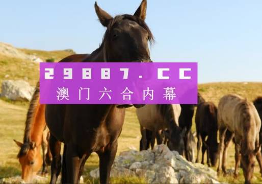 澳门管家婆一肖一码一中一,全方位数据解析表述_时尚版51.920