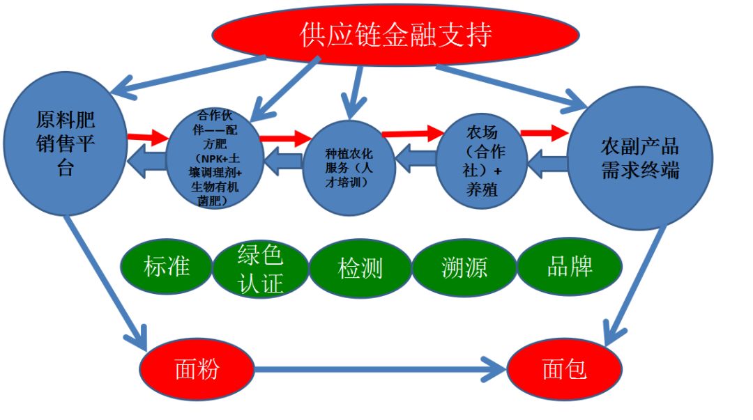 2024新奥最新资料,数据获取方案_多维版6.161