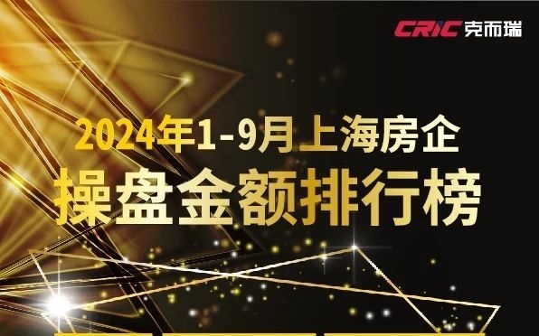 2024新奥精准资料大全,精细评估方案_交互版6.415