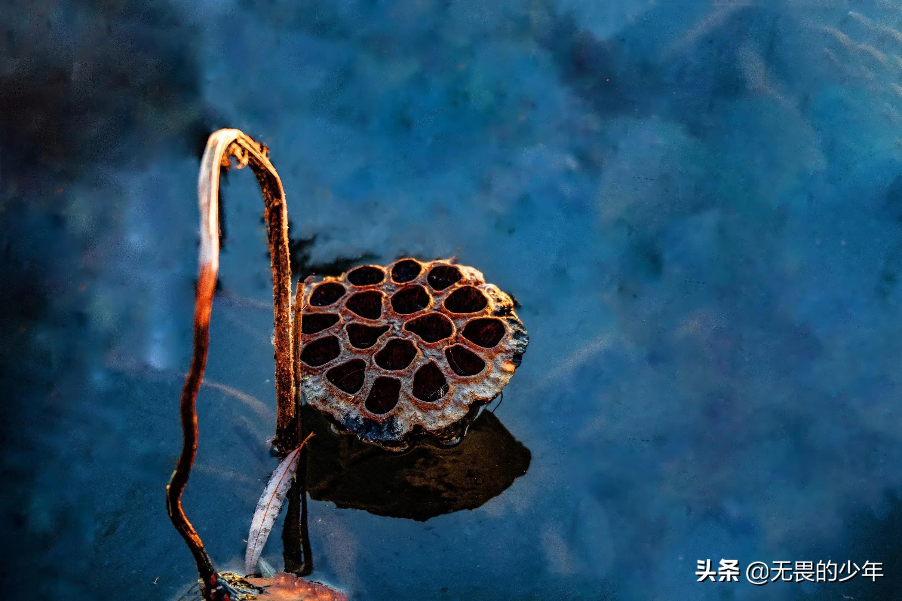 石家庄市房价走势最新动态,梦想与现实和谐共舞的房子市场展望