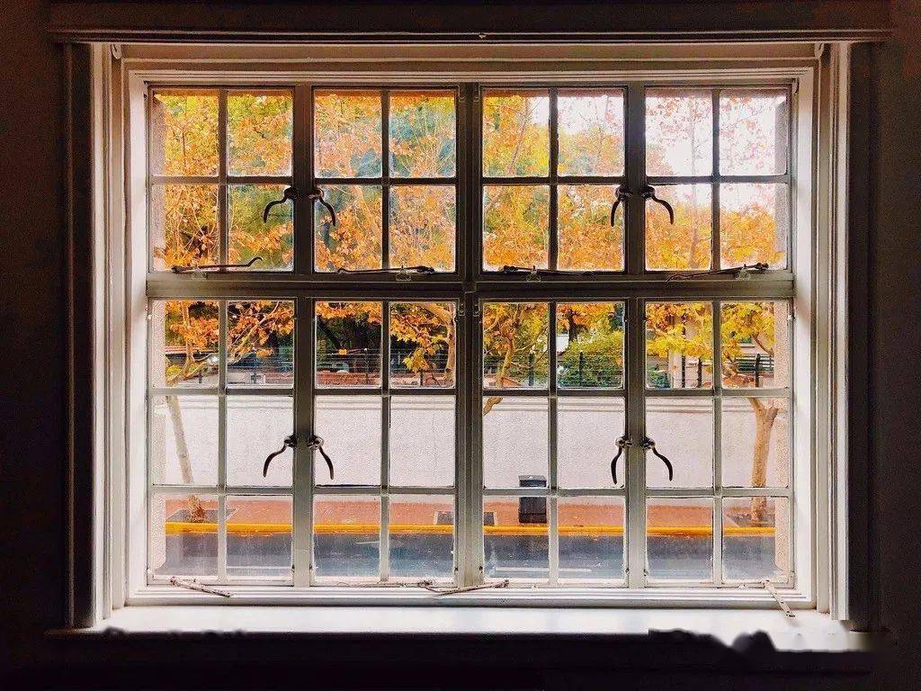 康平二手楼最新消息，投资热点与市场动态全面解析