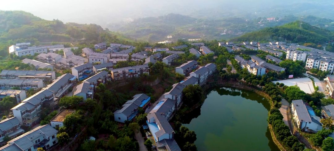 重庆市五宝镇最新动态更新🔥