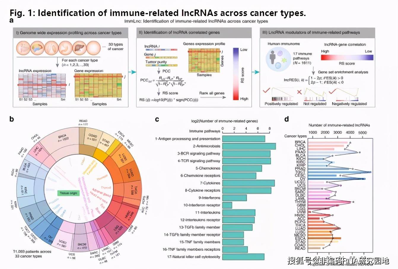 2024年新奥正版资料免费大全,科学数据解读分析_精致版65.955