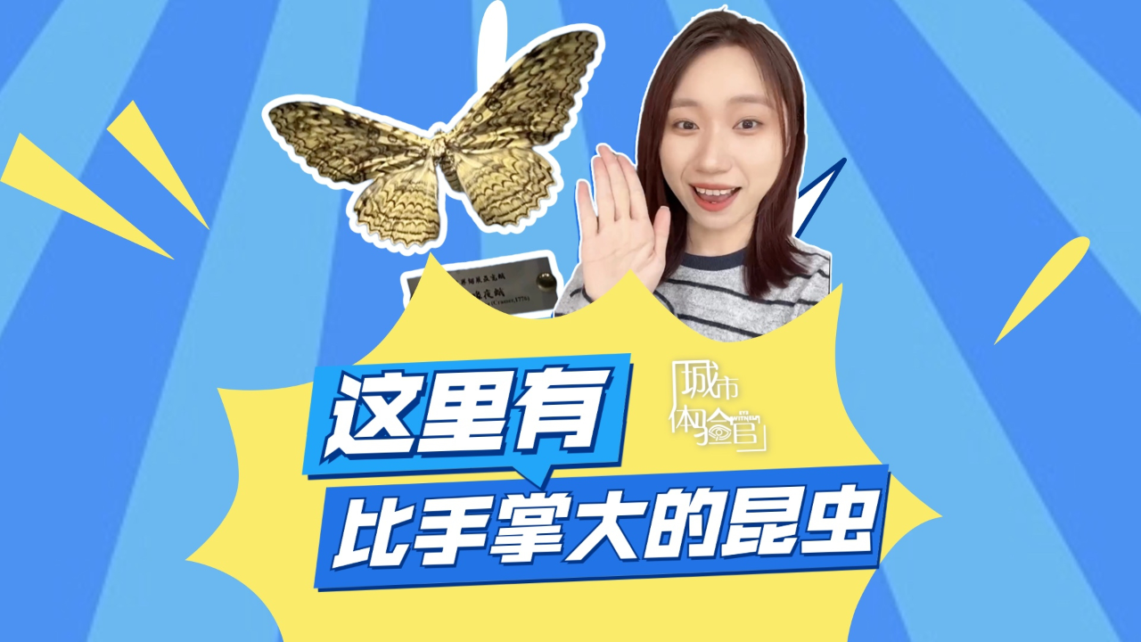 虫虫助手2024最新版下载安装,变化、学习与成长的力量