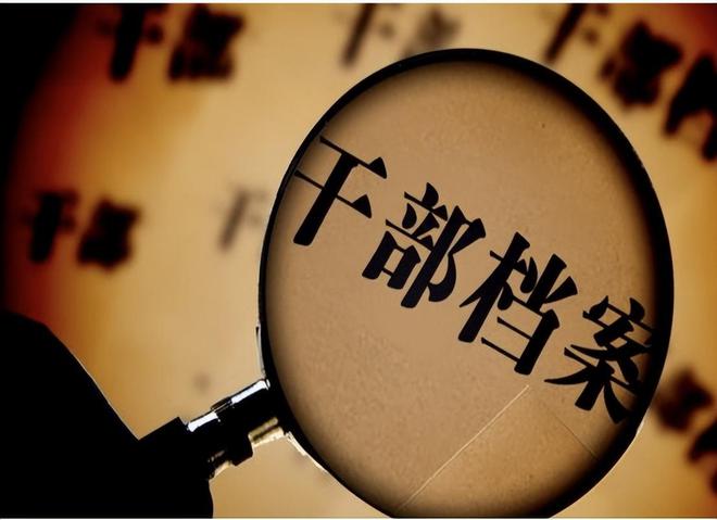 2024年正版资料全年免费,高度协调实施_钻石版12.123