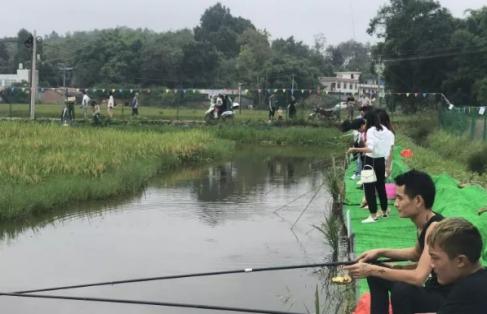 简阳市宏缘乡发展变迁与个人立场的探讨，最新消息揭秘！