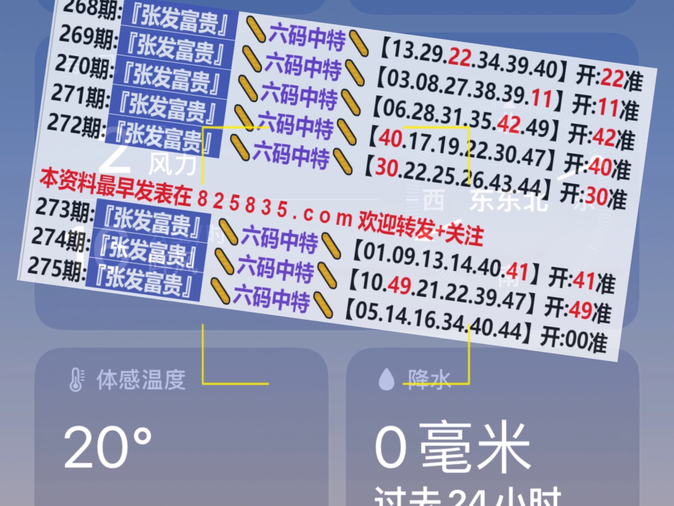 2024澳门天天六开好彩,系统分析方案设计_固定版35.275