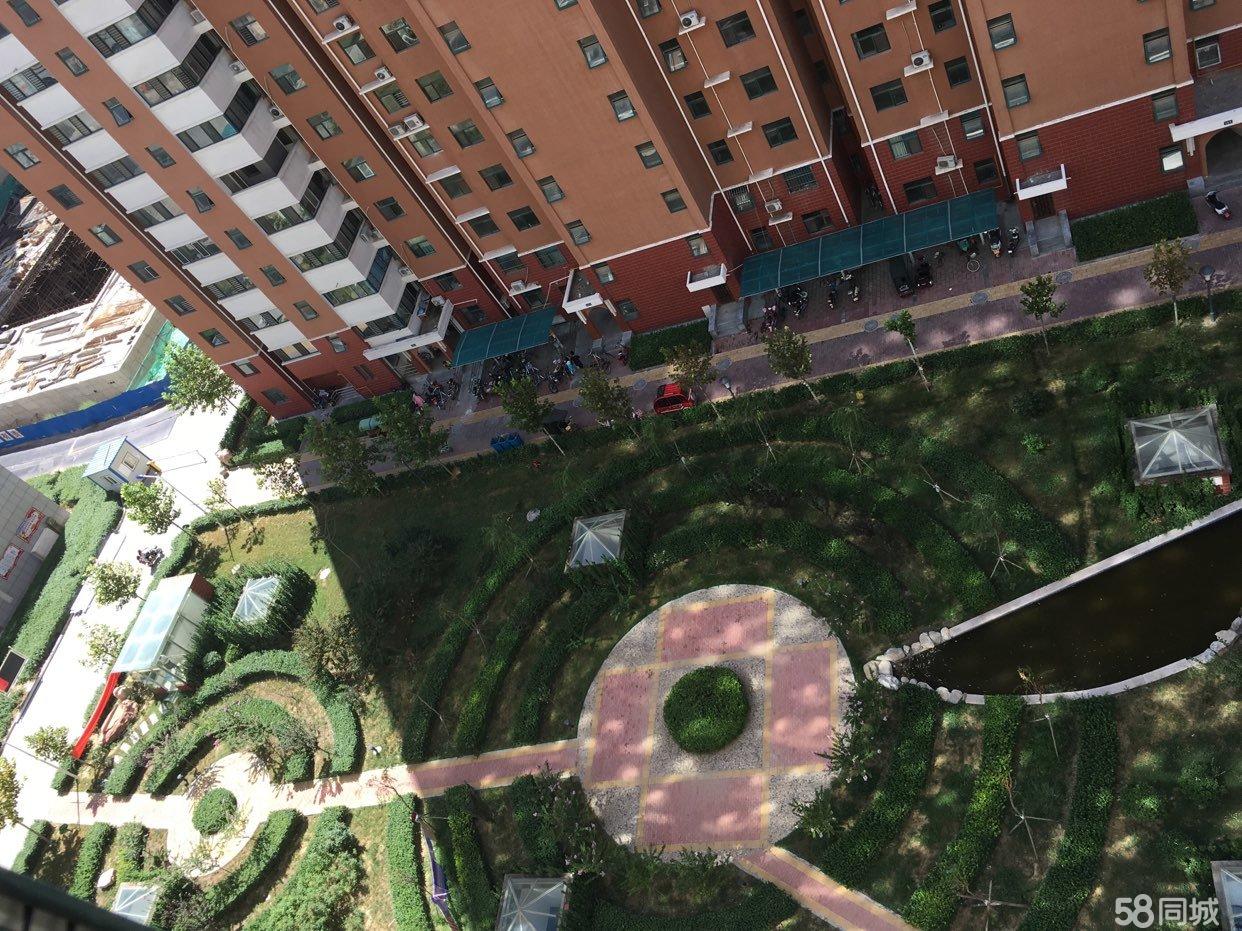 衡水市二手房最新信息概览，最新房源、价格及交易动态一网打尽