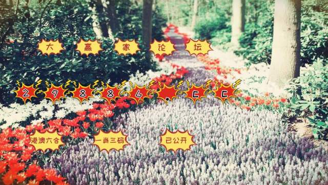 一肖一码一一肖一子深圳,科学依据解析_授权版62.505