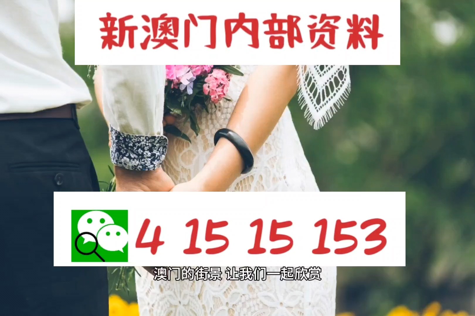 新澳2024年精准特马资料,可依赖操作方案_L版65.952