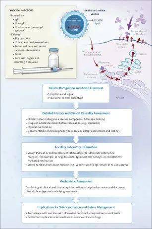 新澳最新最快资料新澳51期,高效运行支持_优先版89.903