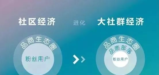 日用百货销售 第397页