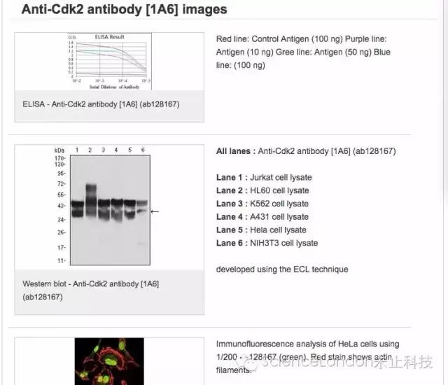 新澳资料免费精准期期准,实地数据验证_网页版78.678