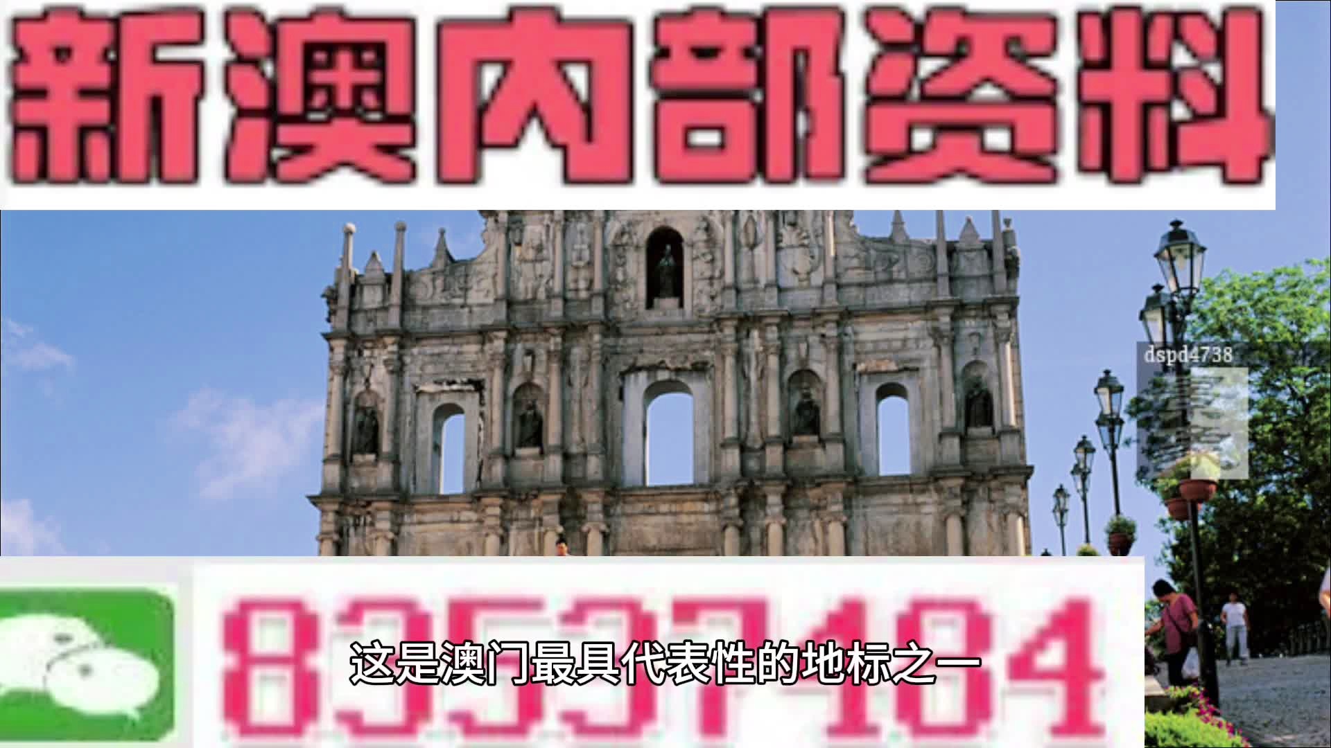 新澳门2024今晚开什么,实地研究解答协助_稳定版19.451