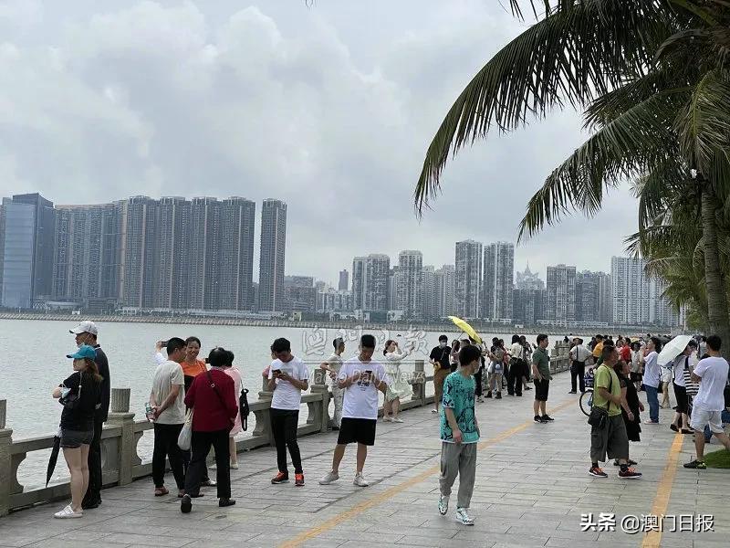 新澳门中特期期精准,科学解释分析_用心版35.695