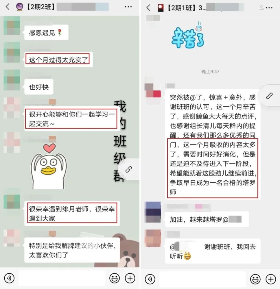 雷锋站长独家心水,快速实施解答研究_套件版51.870