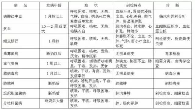 香港免费大全资料大全,操作实践评估_娱乐版77.343
